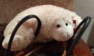 sheep in purse